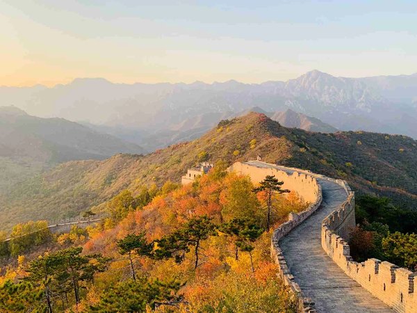 Panoramic view of the Great Wall of China in autumn with vibrant colors and mountains in the background.