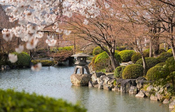Maruyama Park in Kyoto with stone lantern, pond, and cherry blossoms in the foreground.