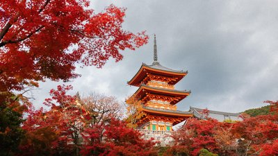 View of the traditional red torii gates at Fushimi Inari Shrine in Kyoto, Japan, with filtered sunlight.