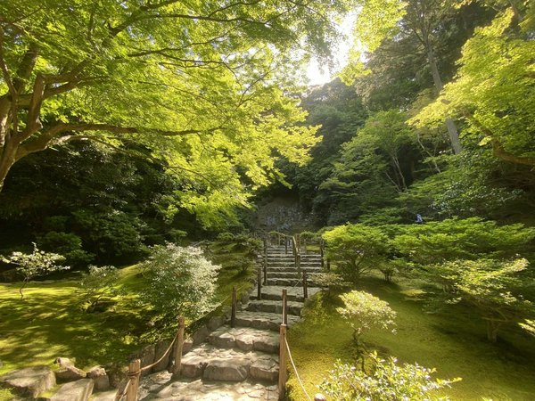 Japanese garden in Kyoto with stone steps, green trees, and a serene landscape illuminated by natural light.