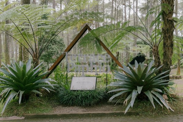 Entrance with 'Terrace Paphio' sign surrounded by plants and trees in a natural setting.
