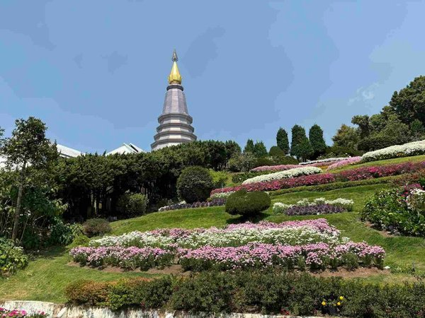 Flower garden with a pagoda in the background on a sunny day in Chiang Mai.