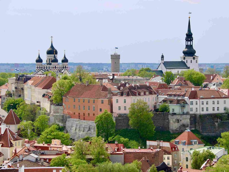Panoramic view of Tallinn featuring Alexander Nevsky Cathedral and St. Mary's Cathedral among historic buildings.