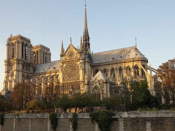 Notre-Dame Cathedral in Paris at sunset, showcasing Gothic architecture with trees in the foreground.