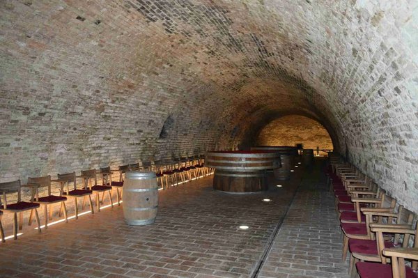 Historic wine cellar with barrels and chairs arranged along brick walls.