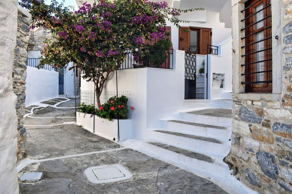 A quiet whitewashed alley in an inland village, shaded by a flowering bougainvillea tree with no sea view.
