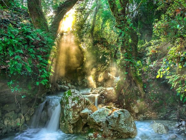 Waterfall and lush vegetation in Valle delle Ferriere Nature Reserve, Amalfi, with sunlight streaming through the trees.