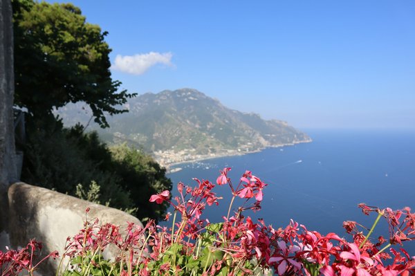 View of the Amalfi Coast with pink flowers in the foreground and blue sea in the background.