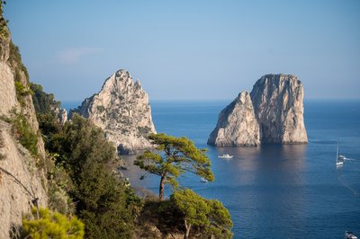 Vista dei Faraglioni di Capri con mare blu e vegetazione in primo piano.