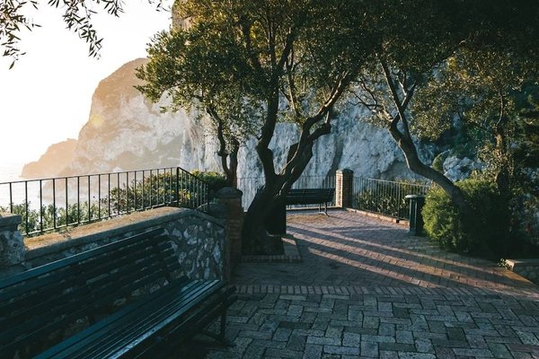 Terrazza panoramica con panchine, alberi e vista sulle scogliere a Capri, vicino a Villa San Michele.