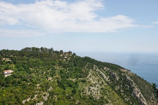Vista panoramica di una collina verde con il mare sullo sfondo a Capri.