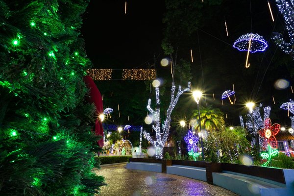 A festive park at night adorned with colorful illuminated light sculptures and decorated trees.