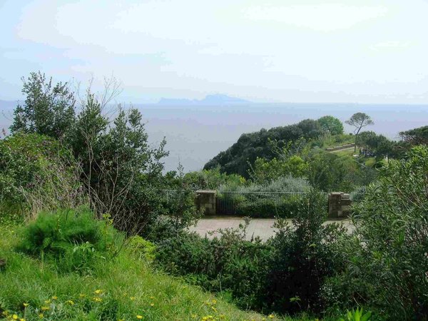 Vista panoramica del Parco Virgiliano a Napoli con vegetazione e mare sullo sfondo.