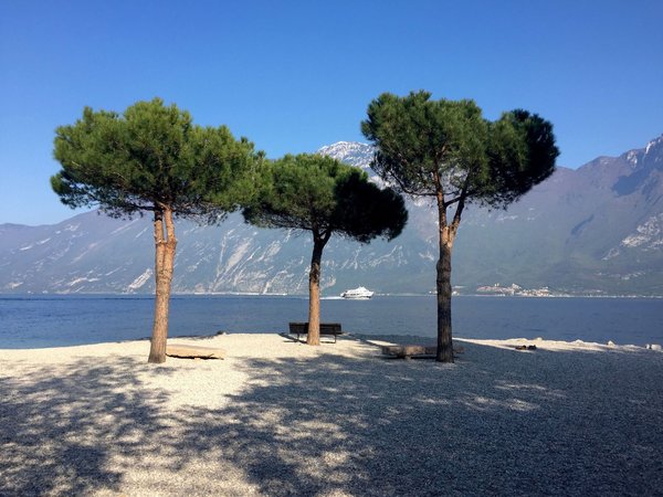 Una tranquilla panchina ombreggiata dai pini con vista sull'acqua calma, che evoca i panorami del Parco Vergiliano.