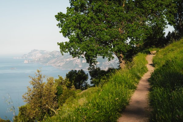 A quiet dirt trail winding along a green clifftop with sweeping sea views, evoking the Path of the Gods.