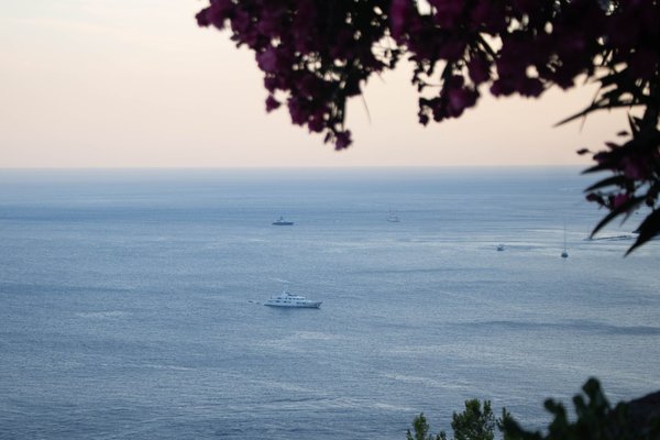Yachts sailing on the calm Mediterranean at dusk, framed by bougainvillea blossoms.