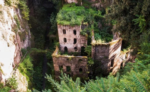 Valle dei Mulini a Sorrento con rovine coperte di vegetazione e paesaggio naturale.