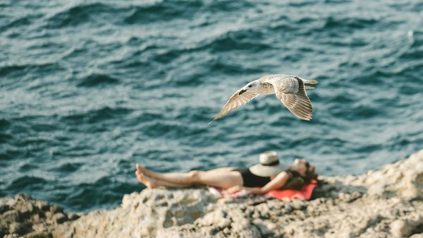 Gabbiano in volo sopra una persona che si rilassa su una scogliera vicino al mare.