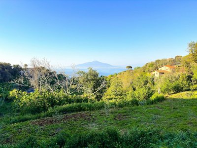 Panoramic view of Sorrento with greenery, houses, and Mount Vesuvius in the background on a bright day.