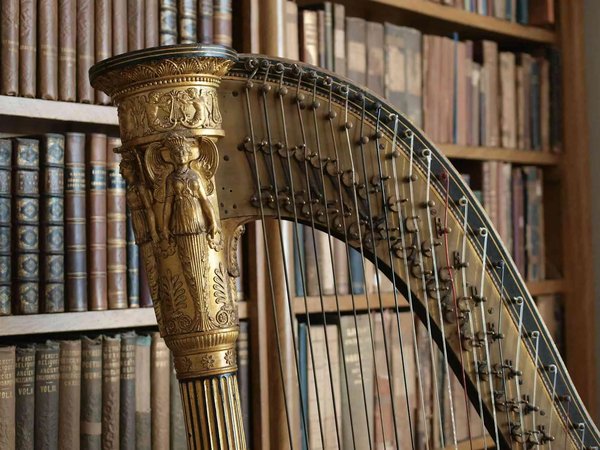 Detail of a decorated harp with a background of bookshelves at the International Museum and Library of Music in Bologna.