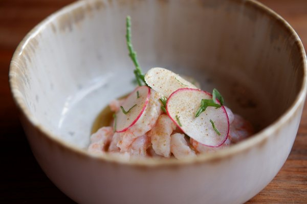 Modern crudo dish of raw prawns topped with radish slices and herbs in a rustic ceramic bowl.
