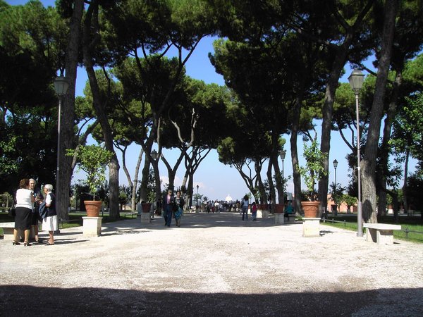Viale alberato del Giardino degli Aranci con aranci in vaso e la cupola di San Pietro visibile in lontananza.