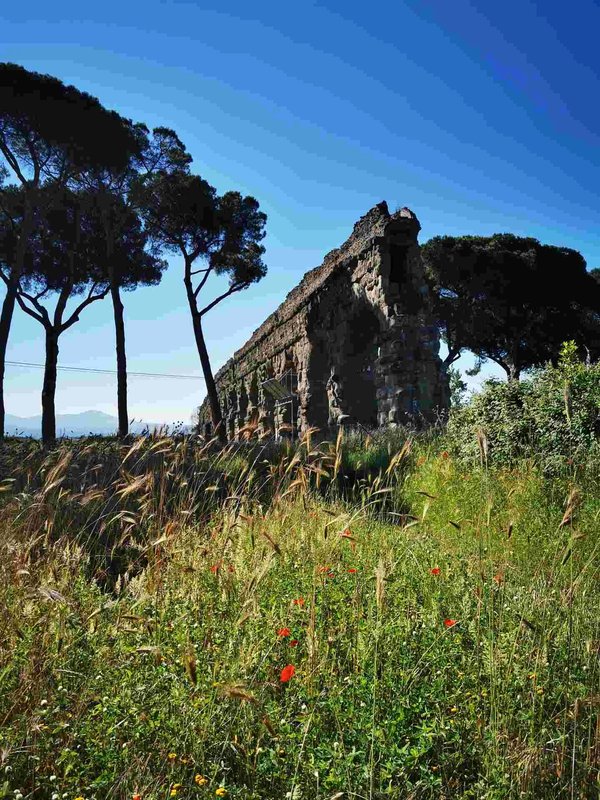 Rovine di un acquedotto antico nel Parco degli Acquedotti a Roma, circondate da pini e prati fioriti sotto un cielo blu.