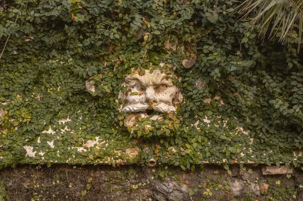 Volto grottesco in pietra logorata, coperto d'edera, nel Parco dei Mostri di Bomarzo.