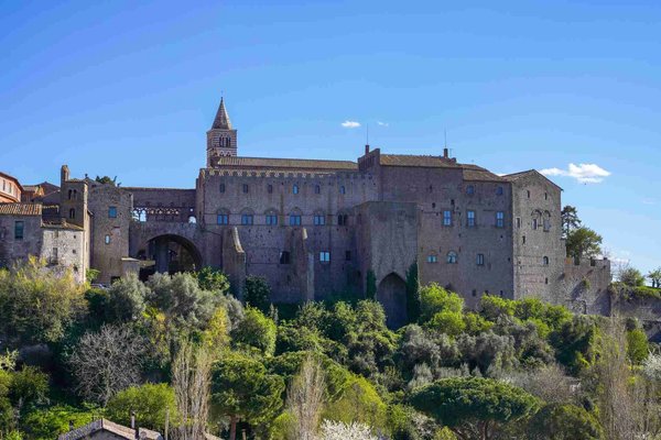View of the Palace of the Popes in Viterbo with a blue sky and vegetation in the foreground.