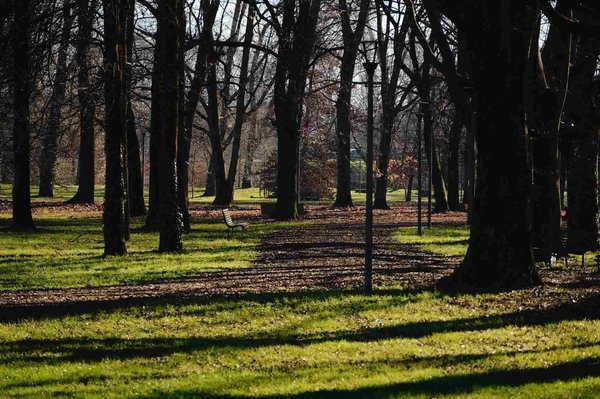 Tree-lined path with benches and light play in the Quadrilatero del Silenzio in Milan.