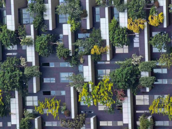 Facade of the Vertical Forest in Milan with plants and trees integrated into modern architecture.