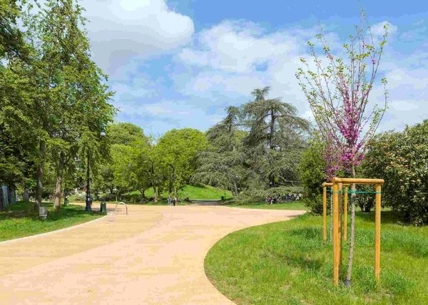 Sentiero alberato nel Parco del Valentino a Torino con cielo azzurro e alberi in fiore.