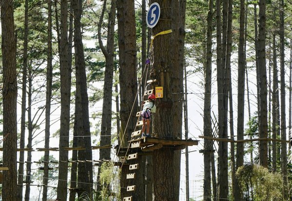 Bambino che si arrampica su una scala di legno lungo un percorso avventura tra gli alberi.