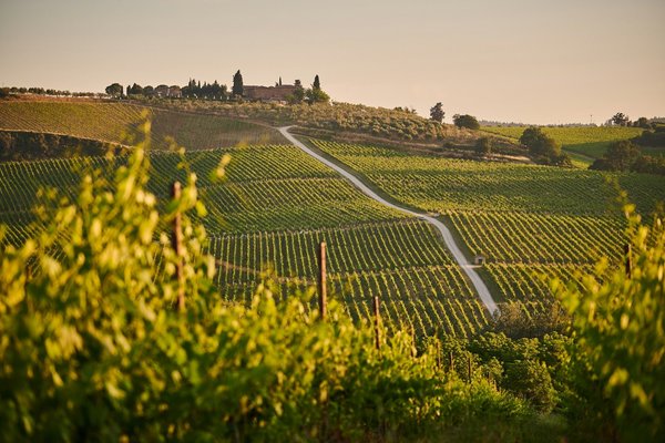 Terraced vineyards on a Chianti hillside with a villa estate on the crest at golden hour.