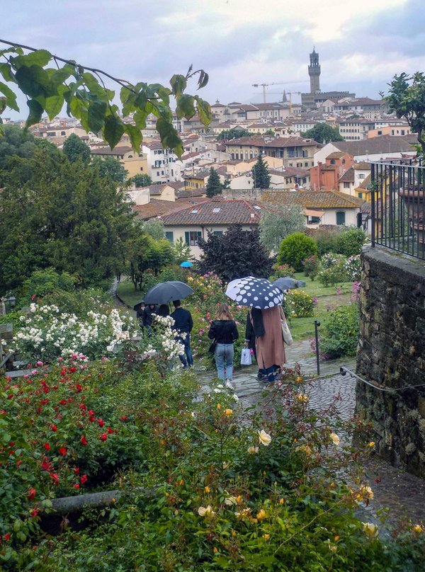 Roses in bloom at the Giardino delle Rose in Florence, with the city skyline and Palazzo Vecchio tower beyond.