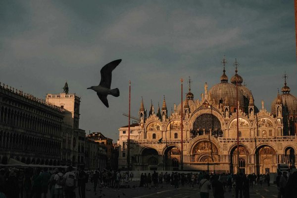 Sunset at St. Mark's Square in Venice with the Basilica of St. Mark and a seagull in flight.