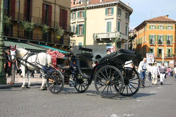 Horse-drawn carriage waiting in Piazza Bra in Verona, with cafes and historic buildings behind it.
