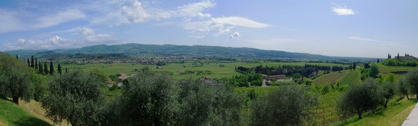 Panoramic view of the Valpolicella hills near Verona, with vineyard rows, olive trees, and a small village.