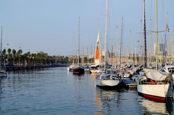 Sailboats moored in Port Vell marina, palm-lined promenade in the background.