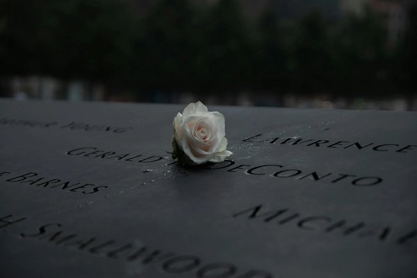 Rosa bianca su nomi incisi al Memoriale dell'11 settembre a New York, simbolo di ricordo e rispetto.