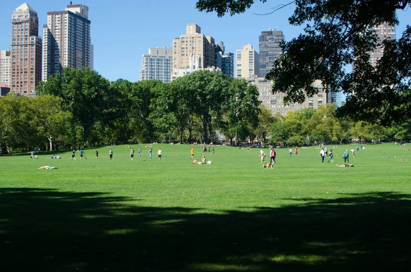 Persone che si rilassano e giocano in un parco verde con lo skyline di New York sullo sfondo.