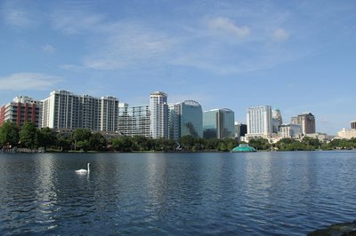Orlando skyline with Lake Eola and a swan on the water on a sunny day.