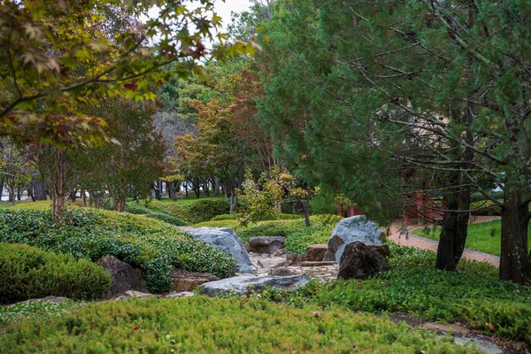 Giardino giapponese a Montevideo con alberi, rocce e sentiero immersi nel verde.